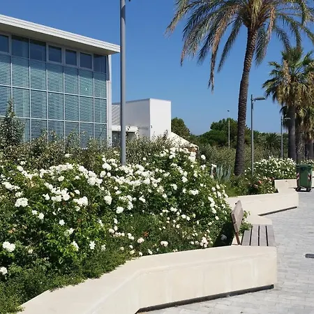 Savonaamare 2.0 * Savona