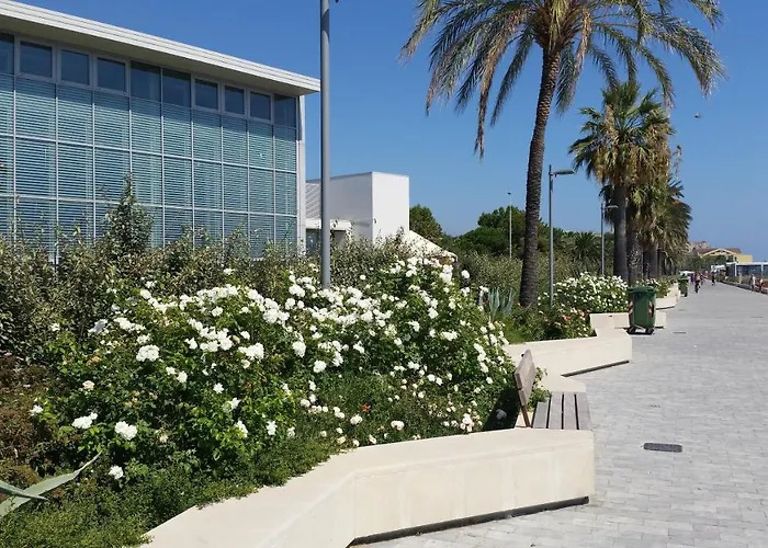 Savonaamare 2.0 * Savona